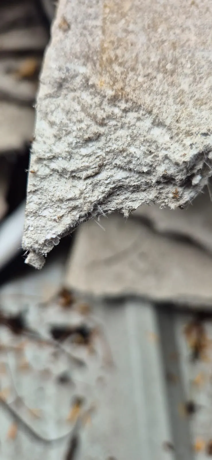 Asbestos insulation board removal (AIB)